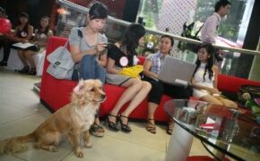 Những hình ảnh bên lề vòng sơ khảo Miss Teen miền Bắc